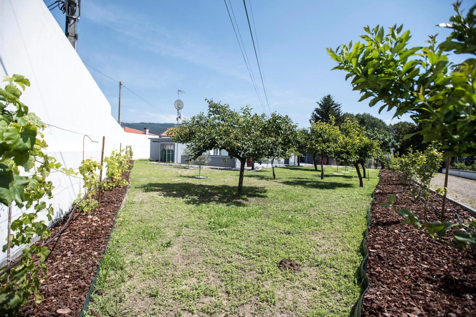 Quinta Do Pomar Pomar Farm Villa Briteiros Exteriör bild
