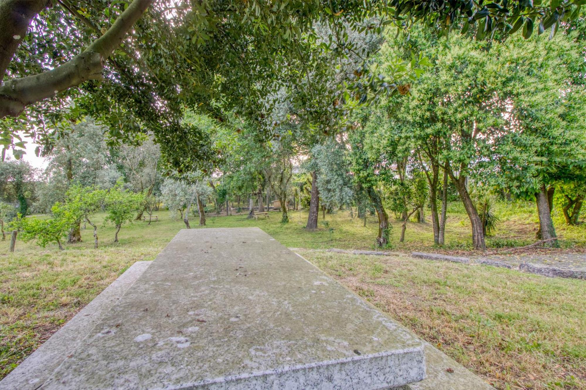 Quinta Do Pomar Pomar Farm Villa Briteiros Exteriör bild