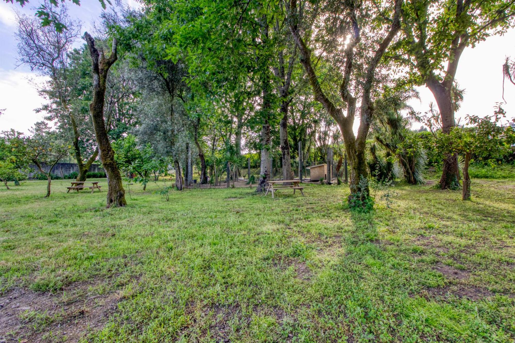 Quinta Do Pomar Pomar Farm Villa Briteiros Exteriör bild